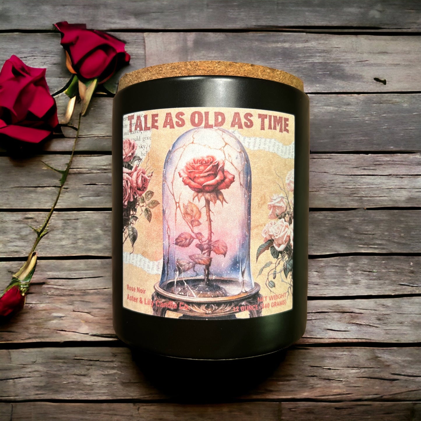 Book Inspired Beauty and the Beast