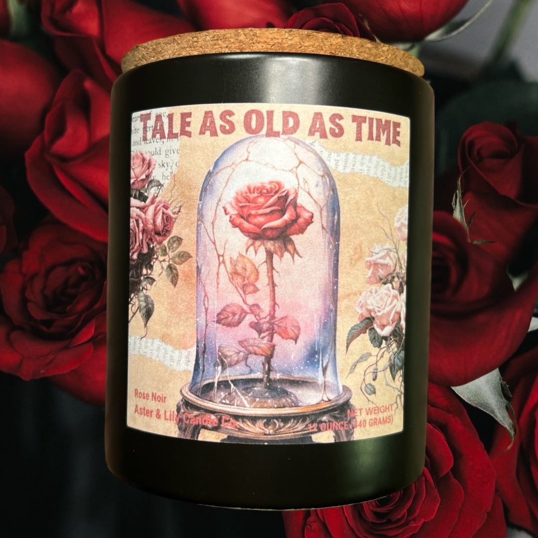 Book Inspired Beauty and the Beast