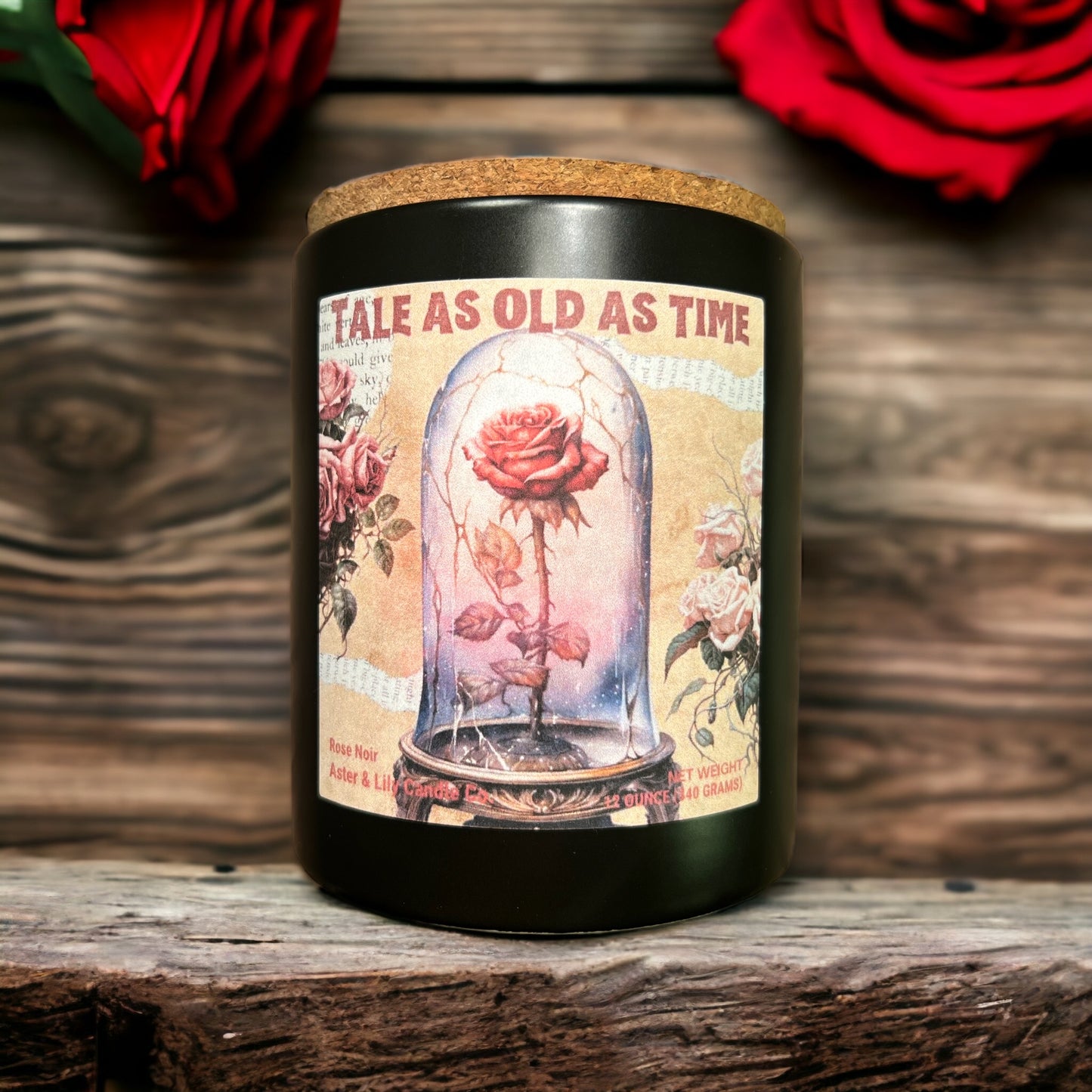 Book Inspired Beauty and the Beast
