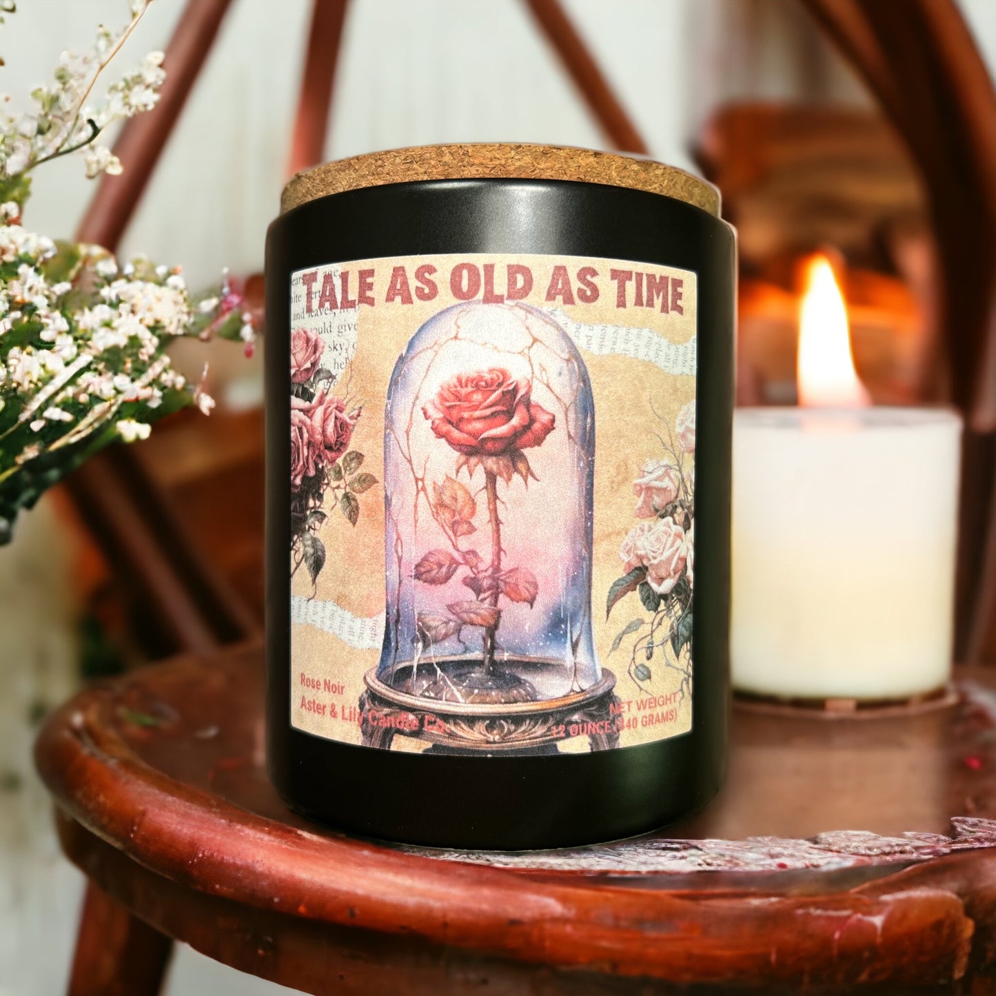 Book Inspired Beauty and the Beast