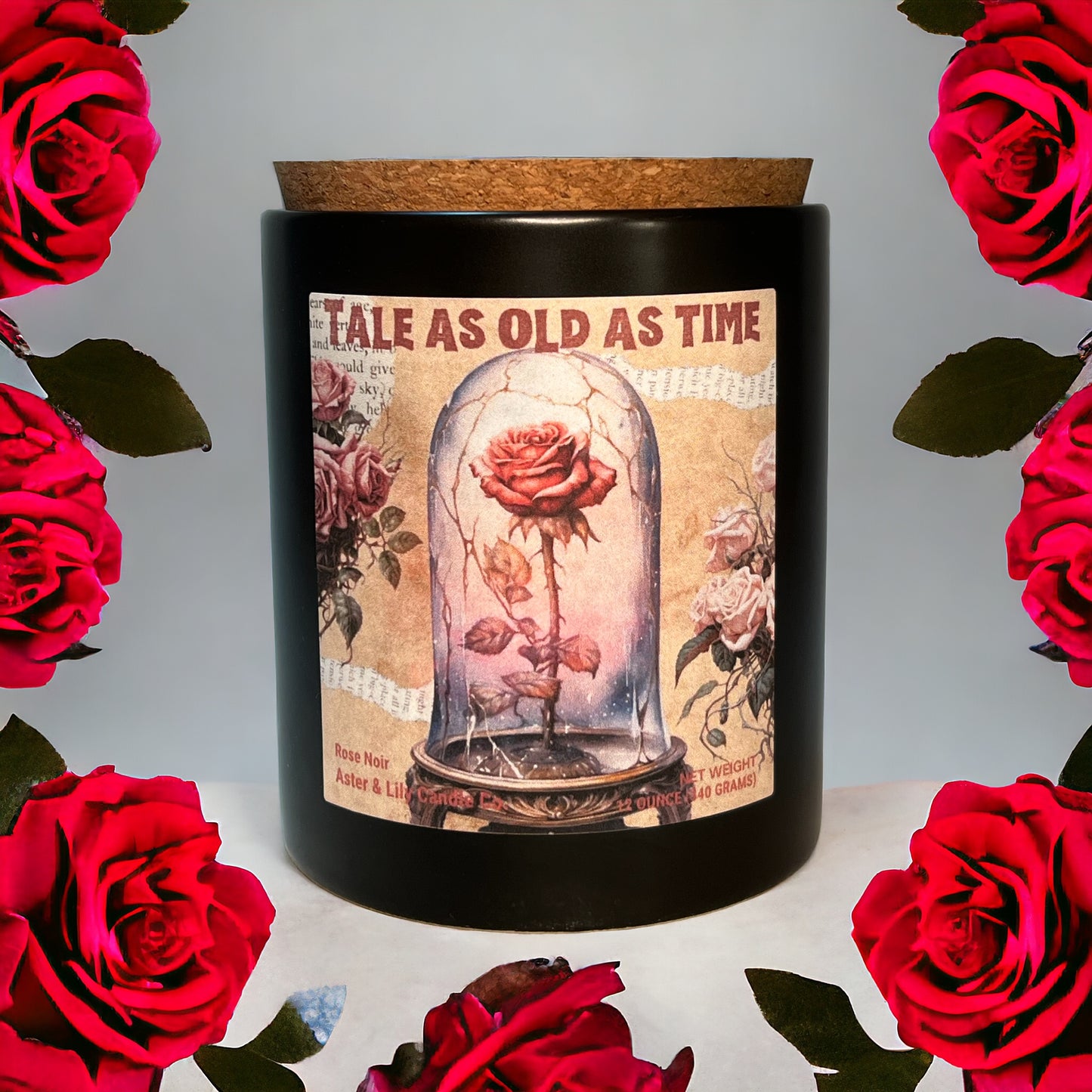 Book Inspired Beauty and the Beast