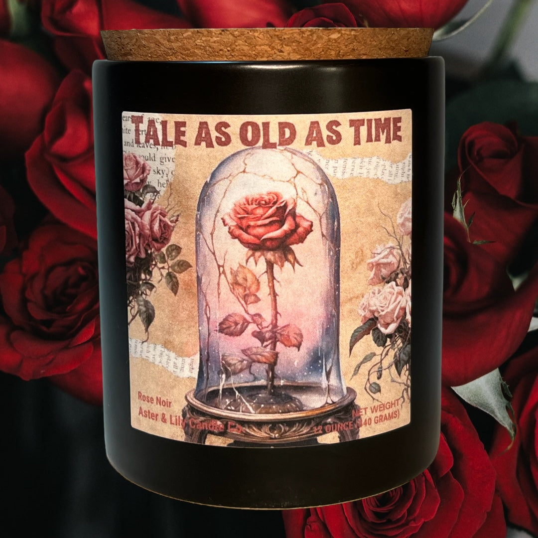 Book Inspired Beauty and the Beast